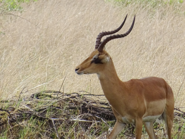 Namibia - Reisebilder – Bild 12