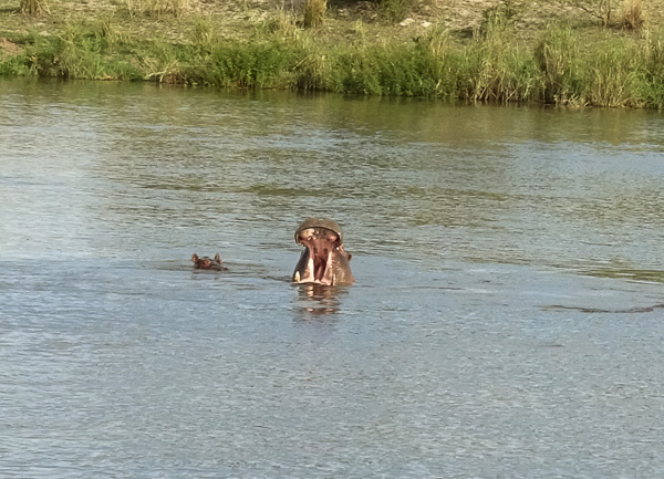 Namibia - Reisebilder – Bild 13