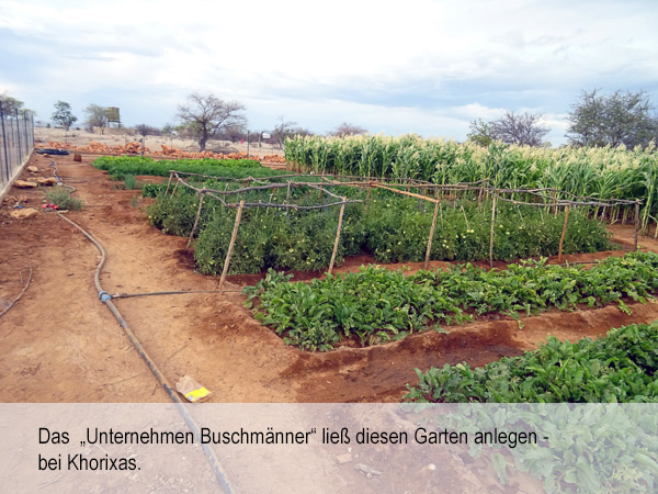 Namibia - Reisebilder – Bild 17