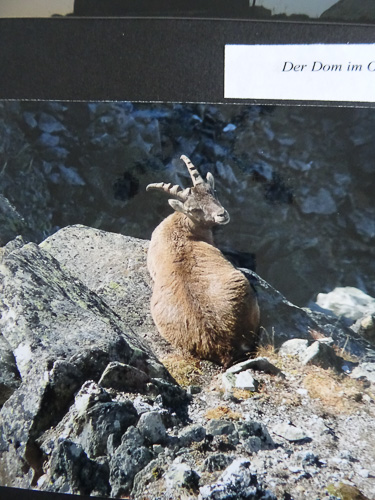 Aus Carlos Fotoalbum – Bild 12