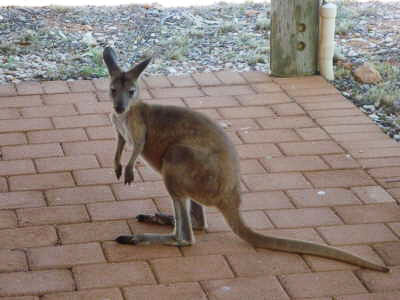 Australien - Reisebilder – Bild 11