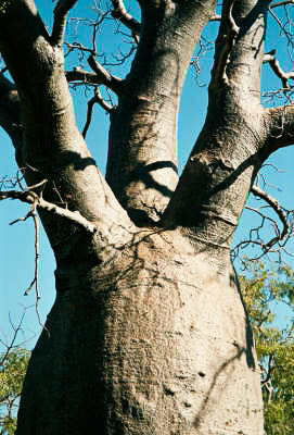 Australien - Reisebilder – Bild 8