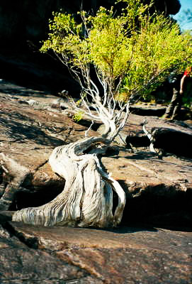 Australien - Reisebilder – Bild 3