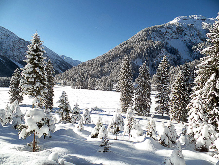 Bilder aus Plansee-Tirol – Bild 7