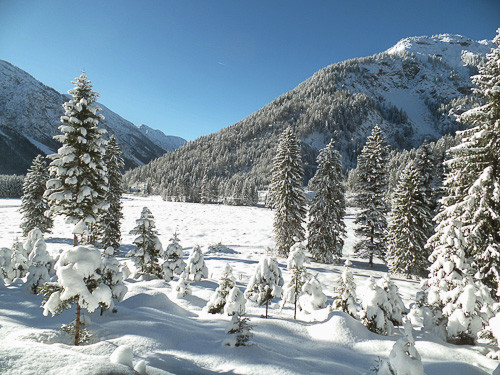 Aus Carlos Fotoalbum – Bild 19