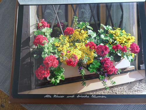 Aus Carlos Fotoalbum – Bild 22